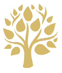 D&D Landscaping photo 5